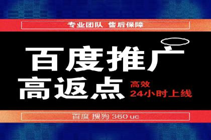 SEO与SEM融合策略：成功案例解析